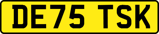 DE75TSK