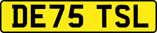DE75TSL