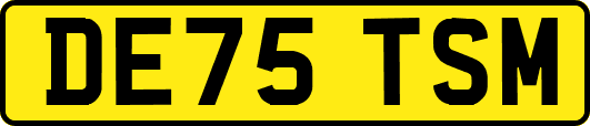 DE75TSM