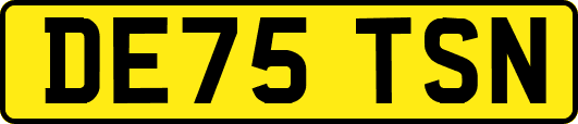 DE75TSN
