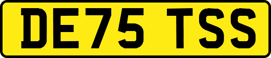 DE75TSS