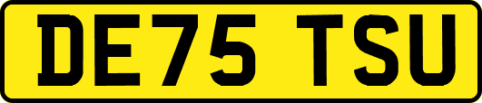 DE75TSU