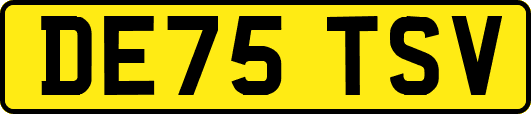 DE75TSV
