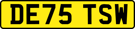DE75TSW