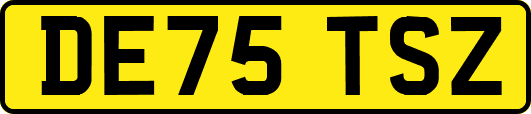 DE75TSZ