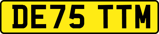 DE75TTM