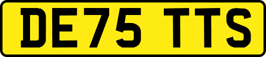 DE75TTS