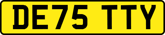 DE75TTY