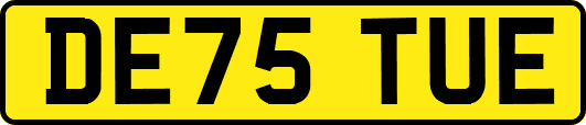 DE75TUE