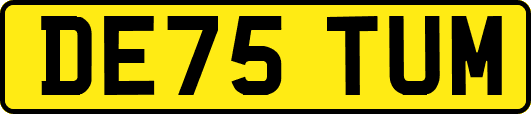 DE75TUM