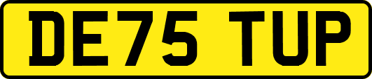 DE75TUP
