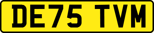 DE75TVM