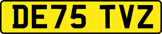 DE75TVZ