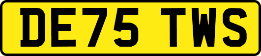 DE75TWS