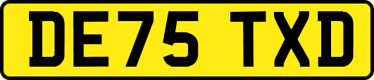 DE75TXD