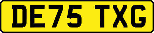 DE75TXG