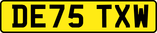 DE75TXW