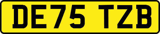 DE75TZB
