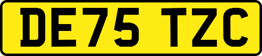 DE75TZC