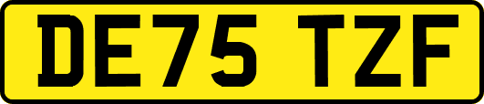 DE75TZF