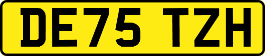 DE75TZH