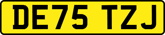 DE75TZJ