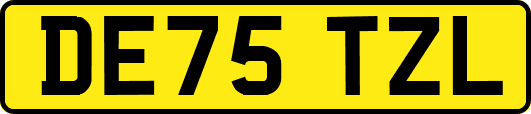 DE75TZL