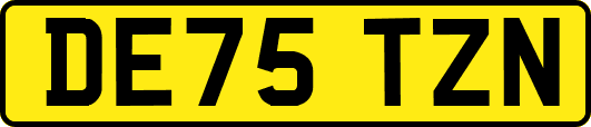 DE75TZN