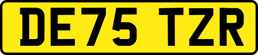 DE75TZR