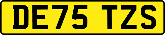 DE75TZS