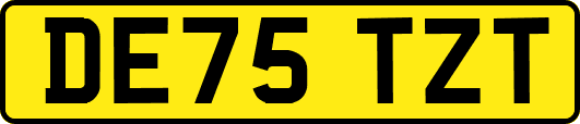 DE75TZT