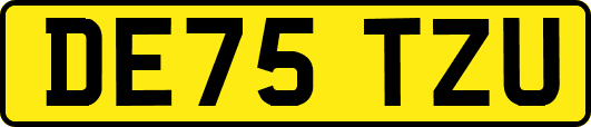 DE75TZU