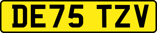 DE75TZV