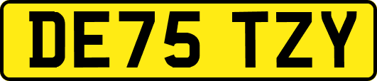 DE75TZY