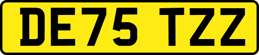 DE75TZZ