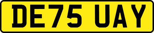 DE75UAY