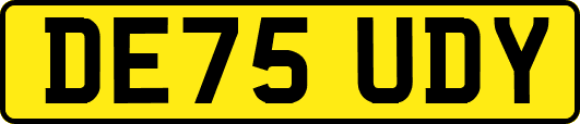 DE75UDY