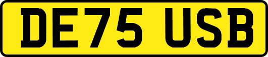 DE75USB