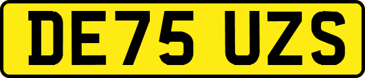 DE75UZS