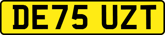 DE75UZT