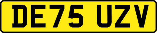 DE75UZV