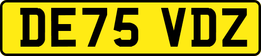 DE75VDZ