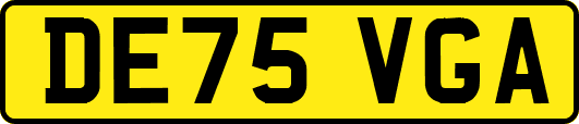 DE75VGA