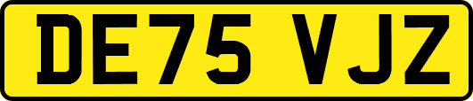 DE75VJZ