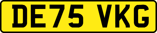 DE75VKG
