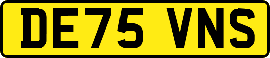 DE75VNS