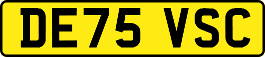 DE75VSC