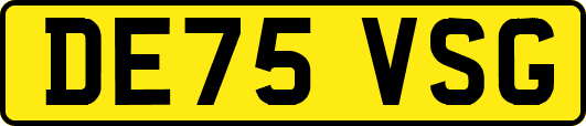 DE75VSG