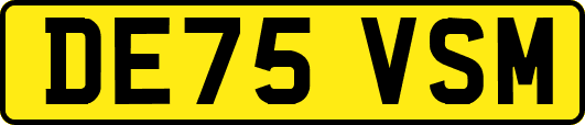 DE75VSM