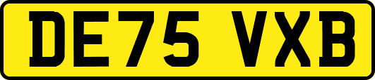 DE75VXB